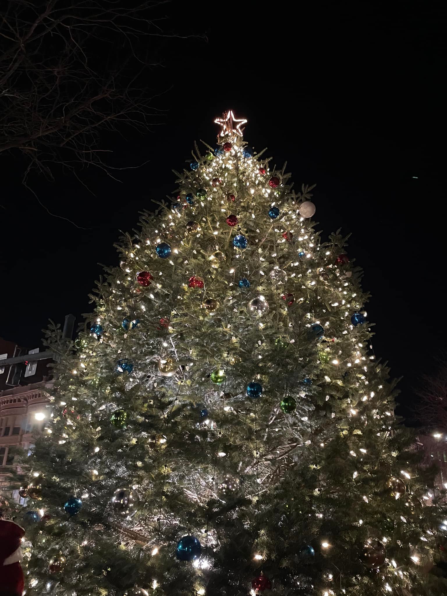 A large, outdoor Christmas tree is decorated with white lights, colorful ornaments, and topped with a glowing star after a festive tree lighting ceremony, standing brightly against the night sky. Buildings and bare tree branches are visible in the background.