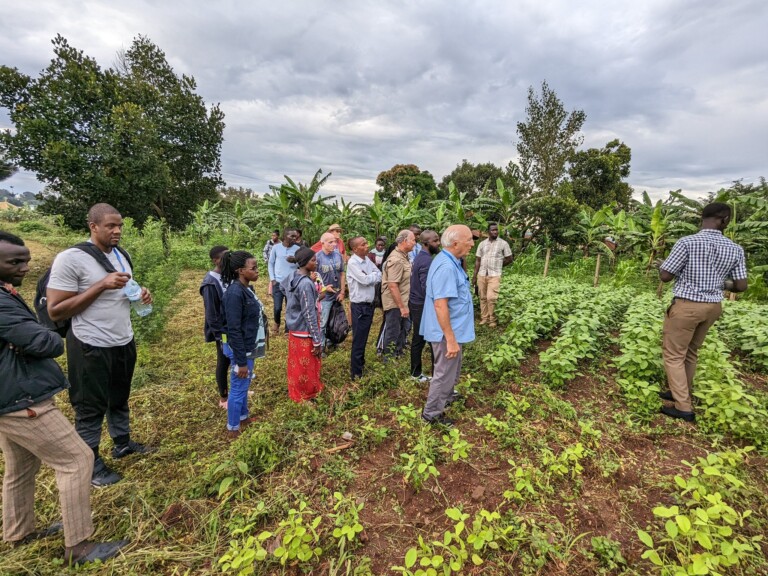 A group of people stands in a green, lush vegetable field listening to a guide. Trees and plants surround them under a cloudy sky. The group appears to be on a farm tour or agricultural visit.