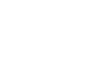 White logo with a stylized streetlamp and leaf design, and the text: 