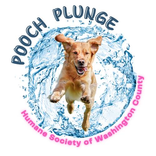 Golden Retriever with tounge sticking out, is jumping out of circle of water. On the left side of the circle, it reads Pooch Plunge and on the bottom it reads Humane Society of Washington County.