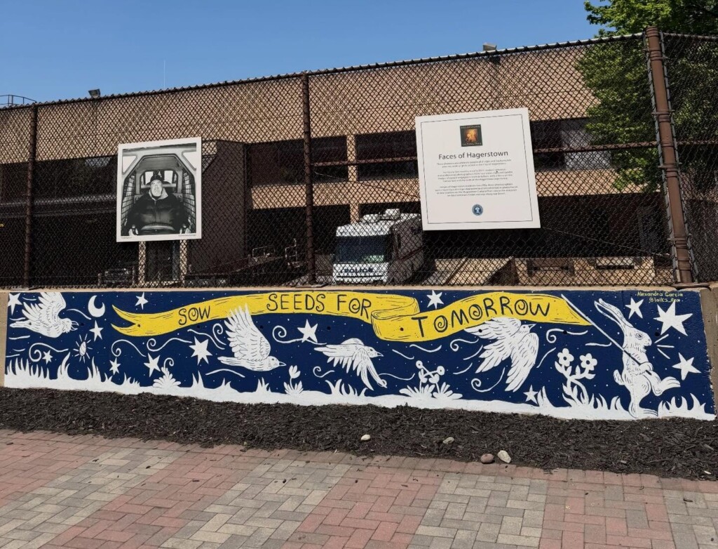 A mural with birds and stars says “Sow seeds for tomorrow” on a low wall by a chain-link fence, reminding us that we create the future through our actions. Above are two signs and a grayscale portrait. Trees and a clear blue sky are in the background.