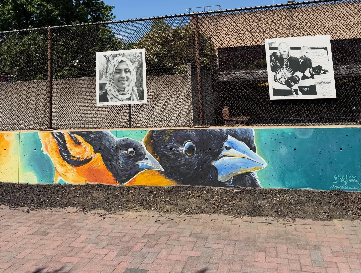Two black-and-white portraits hang on a fence above a colorful mural of birds painted on a low wall, embodying the spirit of artistry we create, with trees and a building in the background under a clear blue sky.
