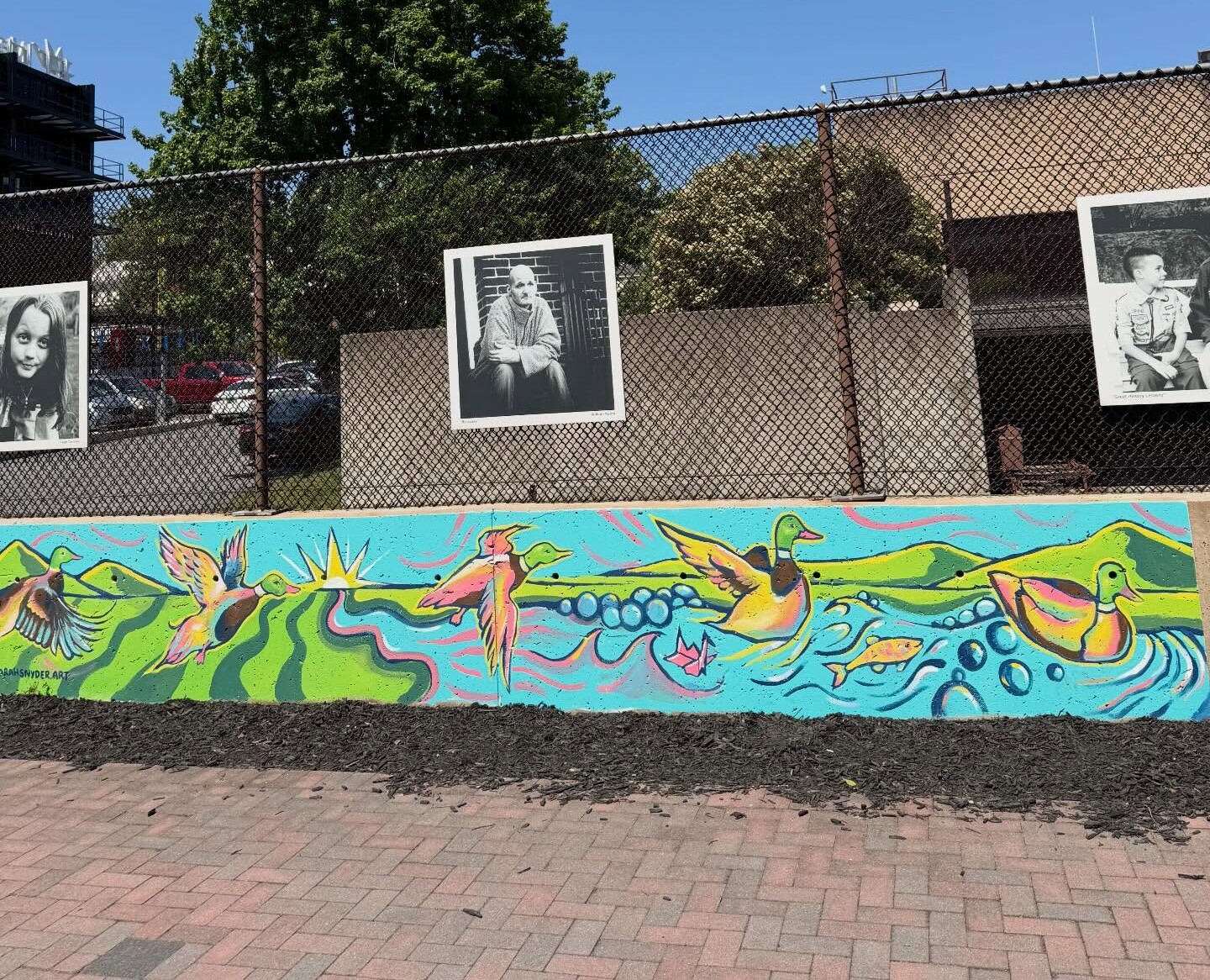 A fence with three black-and-white portraits above a bright mural featuring birds and colorful nature scenes, all brought to life by the passion with which we create, under a clear blue sky.